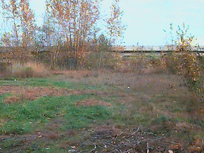 Riparian meadow alongside Marine Drive near Hatt Slough, Snohomish County, Washington