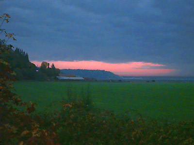 sunset over farmland near Hatt Slough, Snohomish County, Washington
