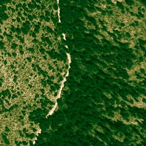 Hay Canyon spider collecting site in a 1998 USGS aerial photo