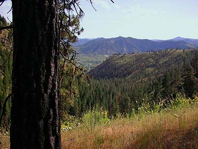 view from rim of  Hay Canyon, Chelan County, Washington