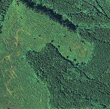 2009? aerial view of clearcut on south slope of Haywire Ridge, near Sultan, Snohomish County, Washington