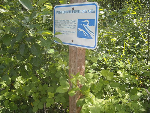 ironic native-vegetation sign along Sultan Basin Road, NE of Sultan, Snohomish County, Washington