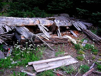 ruins of cabin roof, Hereford Meadow, Kittitas County, Washington