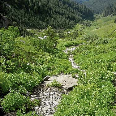 stream bed along trail, Hidden Lake Peaks trail, Skagit County, Washington