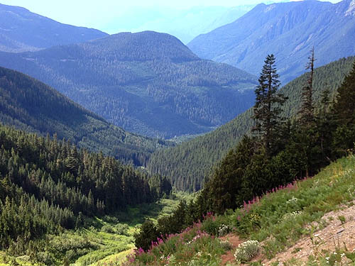 view of valley below from Hidden Lake Peaks trail, Skagit County, Washington