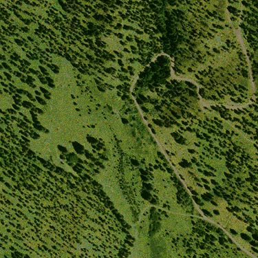 2006 aerial photo of spider collecting site, Horse Lake Mountain, Chelan County, Washington