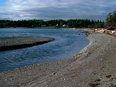 unvegetated lower beach, Indian Island Park, Jefferson County, Washington