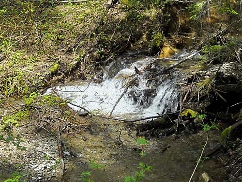 falls on unnamed brook, Jackman Ridge, Skagit County, Washington