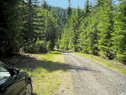 roadside at Jack Pass, Snohomish County, Washington