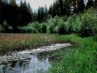 Johnson Lake, Stevens County, Washington