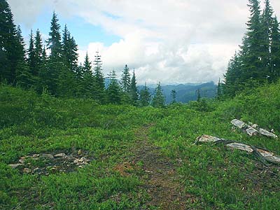 meadow, Johnson Ridge, Snohomish County, Washington