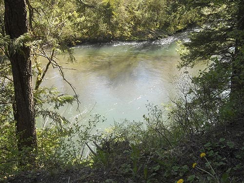 Green River, Kanaskat Natural Area, King County, Washington