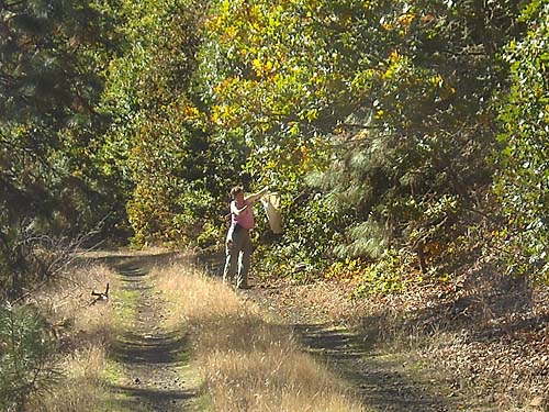 Laurel Ramseyer collecting spiders, Klickitat (River) Trail near Pitt, Klickitat County, Washington