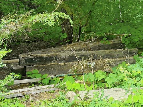 old lumber in forest, gravel pit S of Salmon La Sac, Kittitas County, Washington