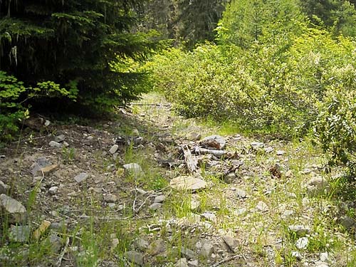 abandoned road with rodky spider habitat, S of Little Salmon La Sac Creek, Kittitas County, Washington