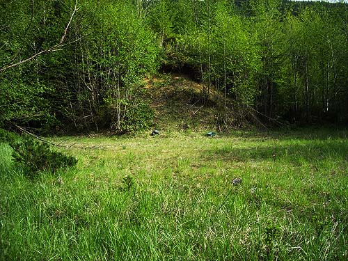 grassy field, former log landing, above marsh near Little Nisqually River mouth, Thurston County, Washington