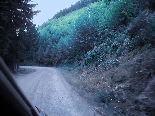 Forest Road 75 to Huckleberry Ridge, Pierce County, Washington