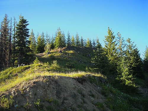 crest of Huckleberry Ridge, Pierce County, Washington
