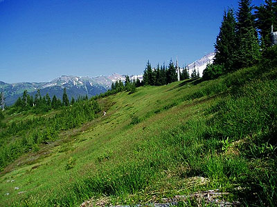 summit meadow, Lookout Mountain, Whatcom County, Washington (Laurel Ramseyer in distance)