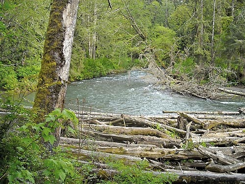river from Lyre River Campground, Clallam County, Washington
