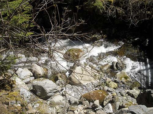 stream bed at ravine bottom, bridge over Mallardy Creek (1600' el.)  Snohomish Co., Washilngton