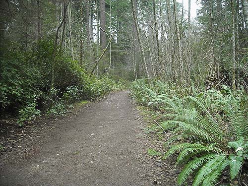 typical trail, McCormick Forest Park, Pierce County, Washington