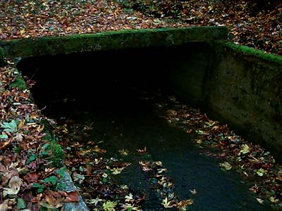 water chute and tunnel, Centralia Canal, McKenna, Washington