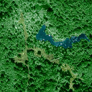 aerial photo (1990), McLane Creek Nature Trail, Thurston County, Washington