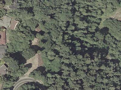 Aerial photo of greenbelt collecting site near Kent, Washington