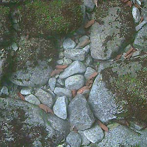 River cobbles by West Fork Miller River, Washington