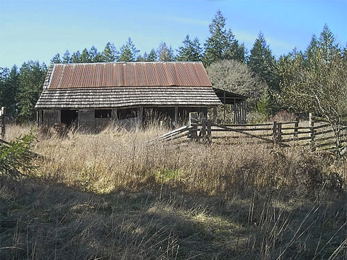 barn in grassy field, Morse Wildlife Preserve, Graham, Washington