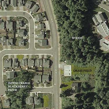 aerial photo (2002) of Norpoint Park area, Pierce County, Washington