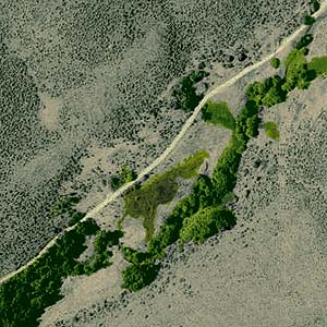aerial view (2000) of riparian forest site on Park Creek NE of Kittitas, Kittitas County, Washington
