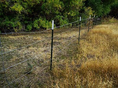 fence divides overgrazed and ungrazed meadow, Park Creek NE of Kittitas, Kittitas County, Washington