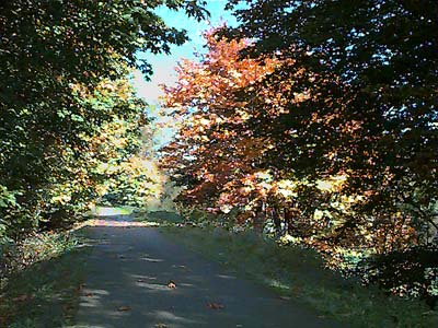 fall colors, Centennial Trail north of Snohomish, Washington