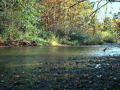 Pilchuck River north of Snohomish, Washington
