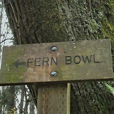 "Fern Bowl" sign, Quiet Place Park, Kingston, Kitsap County, Washington