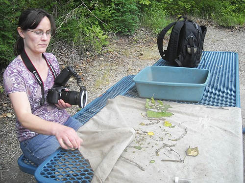 Lynette Schimming at picnic table along Puyallup Riverwalk Trail, Pierce County, Washington
