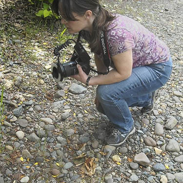 Lynette Schimming stalks with camera, gravel bar, Puyallup Riverwalk Trail, Pierce County, Washington