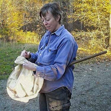 Laurel Ramseyer checks sweep sample, Coal Mines Trail, Roslyn, Washington