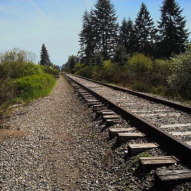 Railroad track dividing two areas of gopher habitat south of Roy, Washington