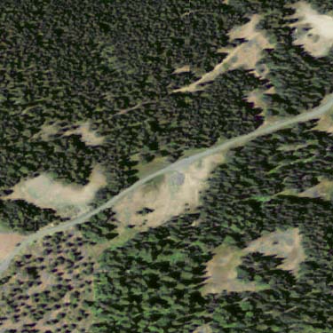 aerial photo of spider collecting area at 5400' on Table Mountain, Kittitas County, Washington