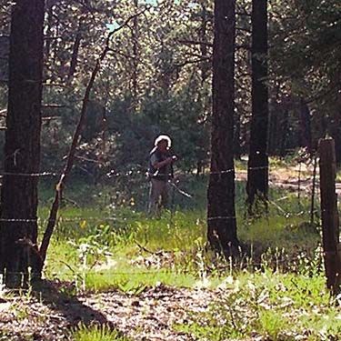 Rod Crawford preparing to collect spiders near Teanaway Campground, Kittitas County, Washington