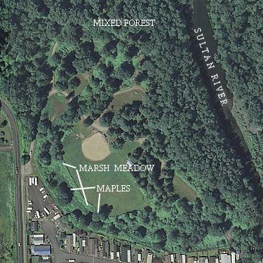 aerial photo of Rudolf Reese Park, Sultan, Washington