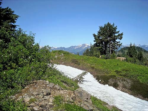mosaic of habitats on ridge crest, Sauk Mountain, Skagit County, Washington