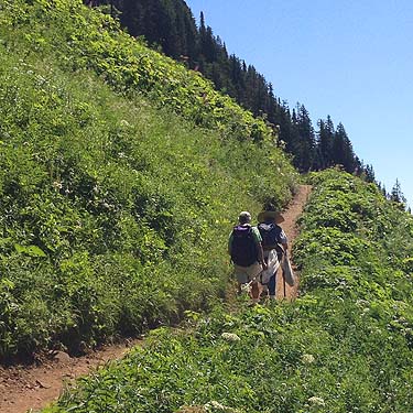Rod Crawford and Jerry Austin start up trail, Sauk Mountain, Skagit County, Washington
