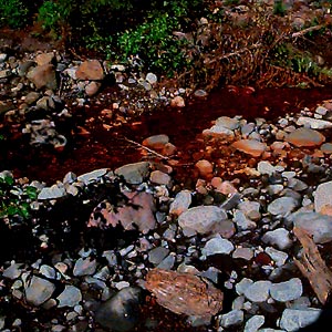 iron ferrous hydroxide yellow boy stain in tributary meeting Rocky Creek, south of Mount Baker, Washington