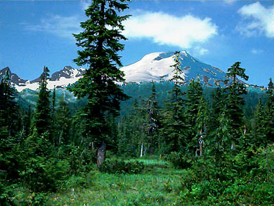 Mount Baker from Schriebers Meadow, Whatcom County, Washington
