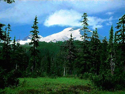 Mt. Baker from Schriebers Meadow, Whatcom County, Washington