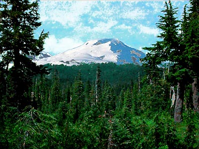 Mount Baker from forest near Schriebers Meadow, Whatcom County, Washington